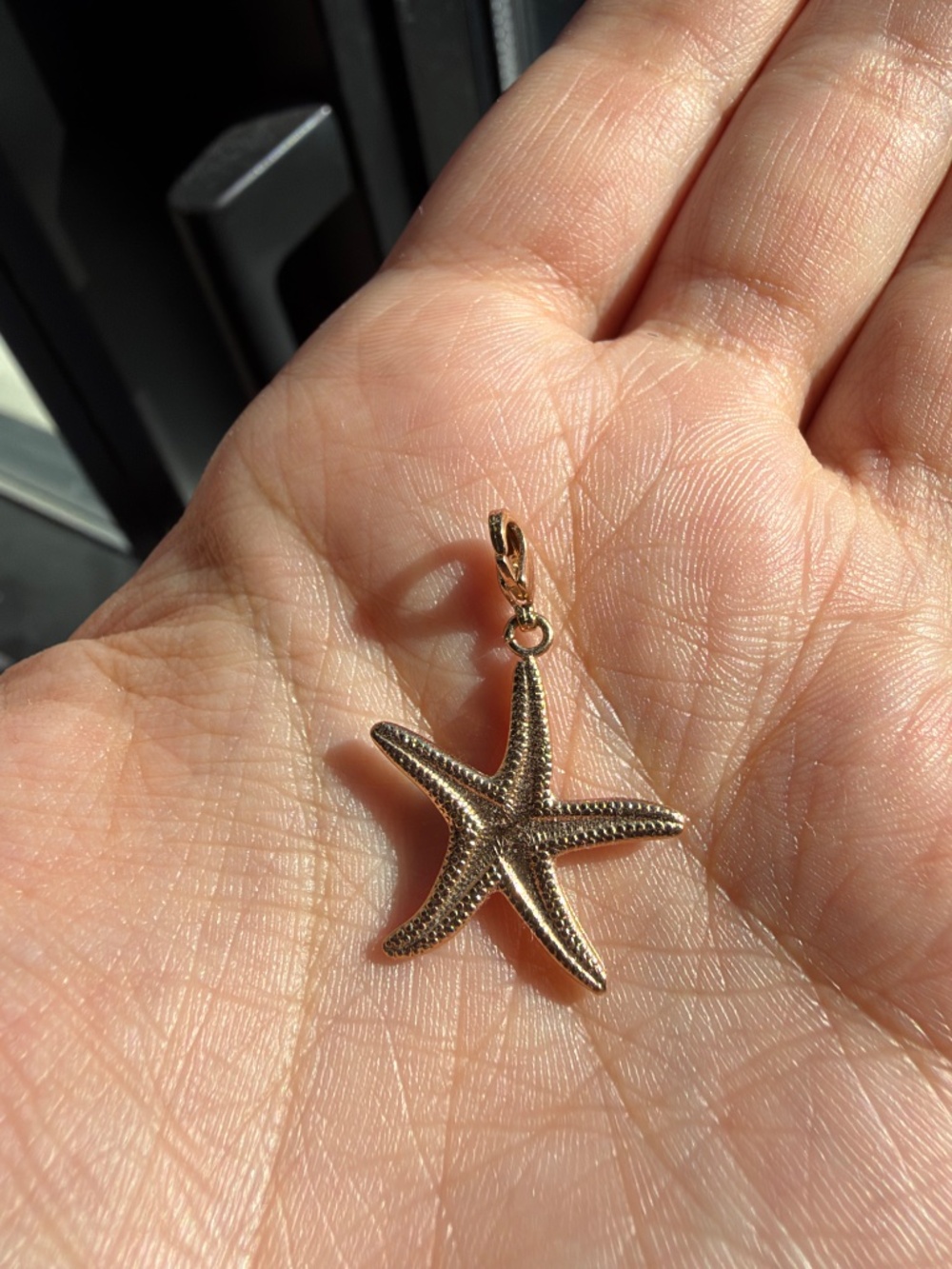 Starfish pendant